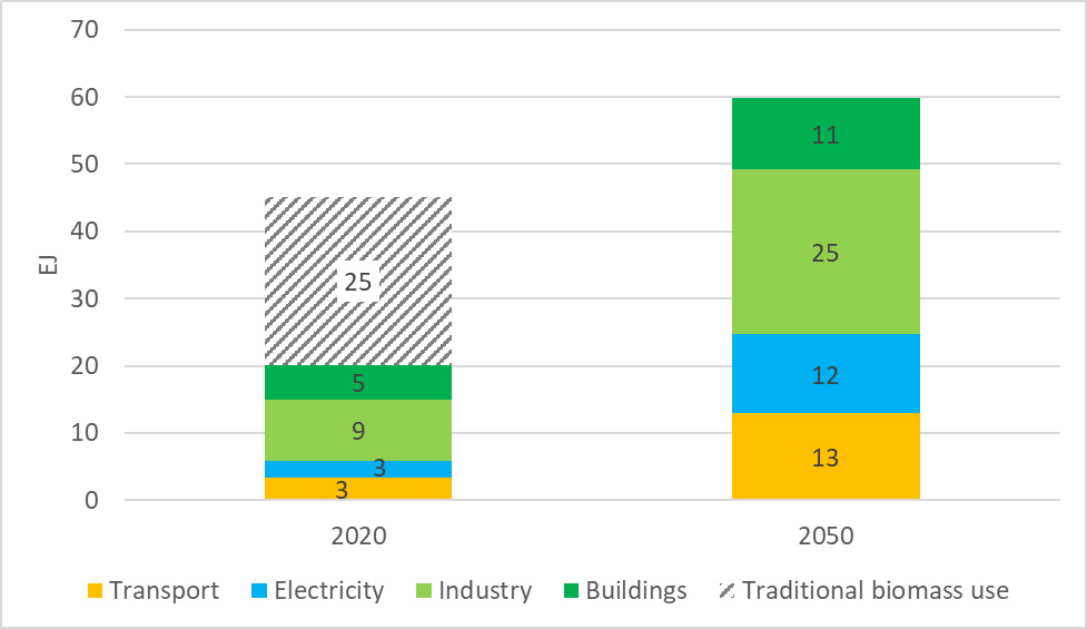 Growth of bioenergy in global final energy consumption by sector, according to the IEA Net Zero by 2050 scenario (data source: IEA (2021) Net Zero by 2050) Growth of bioenergy in global final energy consumption
